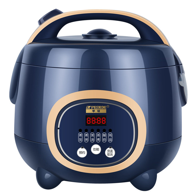 Electric rice cooker household 2-4 people factory wholesale small mini intelligent multi-functional porridge electric rice cooker a generation of hair