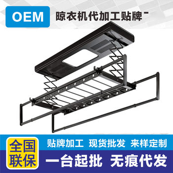 Electric Clothes Drying Rack with Remote Control, Adjustable Height, Balcony Drying Rack, Household Retractable Fully Automatic Clothes Drying Rod with Disinfection