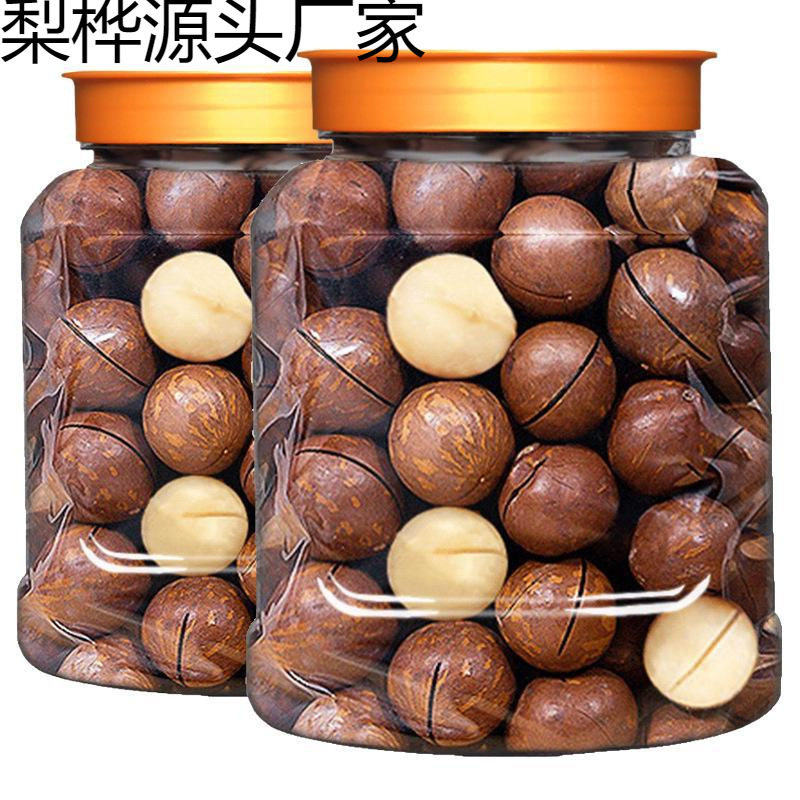 New Arrival Macadamia Nuts 500g Canned Summer Fruit Bulk New Year Dried Fruit Snacks Pecan Nuts Good Products