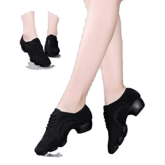 Dance Shoes, Square Dance Shoes, Women's Adult and Children's Latin Dance Modern Dance Shoes, Soft-Soled Ballroom Dance Shoes