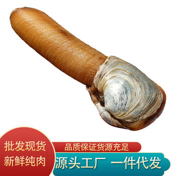 Wholesale Shell-Less and Dirt-Removed Pure Meat Sashimi-Grade Live Frozen in Liquid Nitrogen Wild Deep-Sea White Clam and Ivory Clam