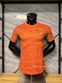 26-27 Ivory Coast Home