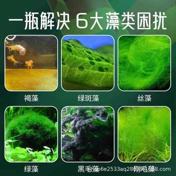Fish Tank Algae Removal Salt, Algae Removal, Water Mildew Disease, Soft Water Salt, Fish Tank Algae Removal King, Fish Tank Algae Removal Water, Ornamental Fish