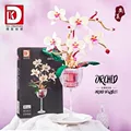 Red wine glass orchid