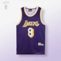 XH * Retro Mesh 103 Lakers# Purple 8