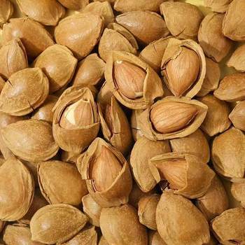 New Arrival: Open Apricot Kernels, Thin-Shelled Apricot Kernels, Casual Large Almond Snacks, Nuts, Milky Flavor, Five-Spice Flavor