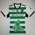 Palestine green and white
