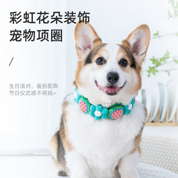 Pet Internet Celebrity Chai Dog Corgi Rainbow Flower Fruit Strawberry Collar Cat Dog Fur Ball Neck Band Adjustable