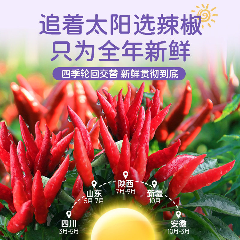 Zhongjing 0 Fat Chili Sauce Devil Spicy Fresh Pepper Sauce Household Mixed Vegetable Dip Dip Dressing Rice Sauce Noodles Sauce Rice Sauce 185g