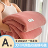 Class a Winter Thickeneded Double-Sided Milk Fleece Blanket Office Nap Blanket Sofa Cover Blanket Flannel Coral Velvet Wholesale