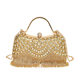 2024 Cross-Border New European and American Rhinestone Evening Bag Tassel Portable Banquet Bag Fashionable Celebrity Evening Wear Single Shoulder Diagonal