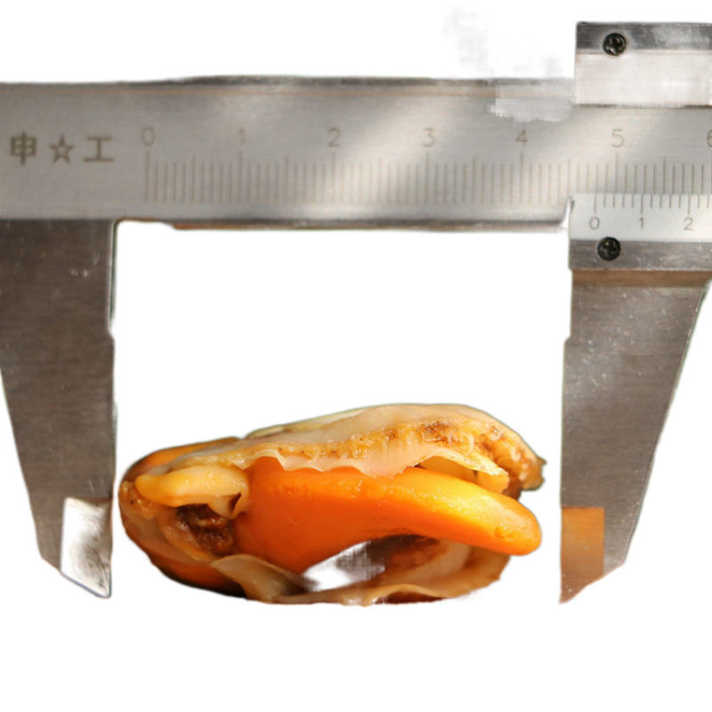 Extra Large Scallop Meat, Fresh Quick-Frozen Seafood with Yellow Ice Coating, Fresh Frozen Wild Vacuum Packaging, a Whole Box