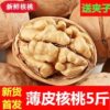 New Arrivals in 2023, Xinjiang Thin-Skinned Walnuts, Good Walnuts, Multi-Specification Dried Fruits and Nuts, New Arrivals, Fresh Snacks Wholesale