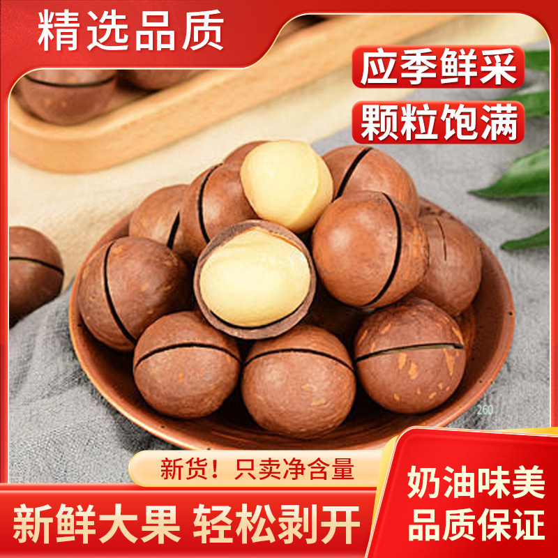 Hawaiian Macadamia Nuts Large Size 500g Creamy Flavor Nuts Office Snack Milky Thin Skin Open-Shell Macadamia Nuts