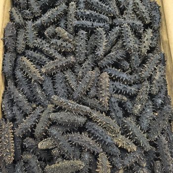 Shandong liao ginseng, pure and light dry, soaked 18 times, low price, large quantity, detailed discussion