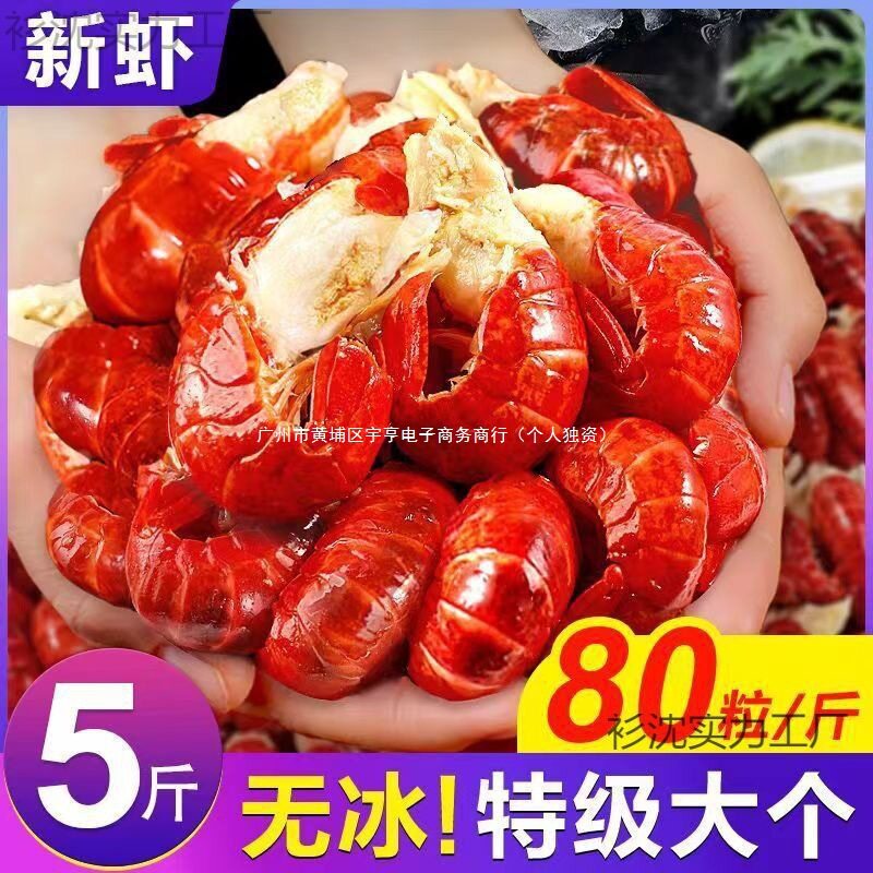 Lobster Tail Without Ice, Extra Large Shrimp Tail, Extra Large Without Ice, Fresh Live Crayfish Frozen