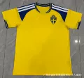 26 sweden home