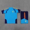 2526 spanish blue