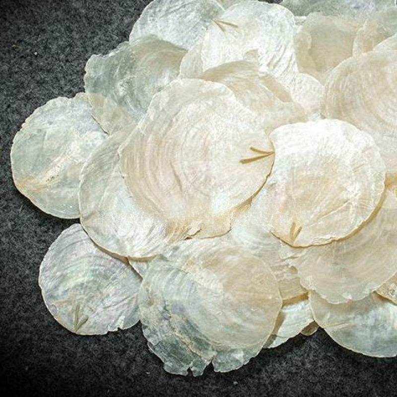 Natural Shell Accessories Wind Chime Wedding Popular Natural Diydiy Kindergarten Decoration Popular Wind Chime Free Shipping Wholesale