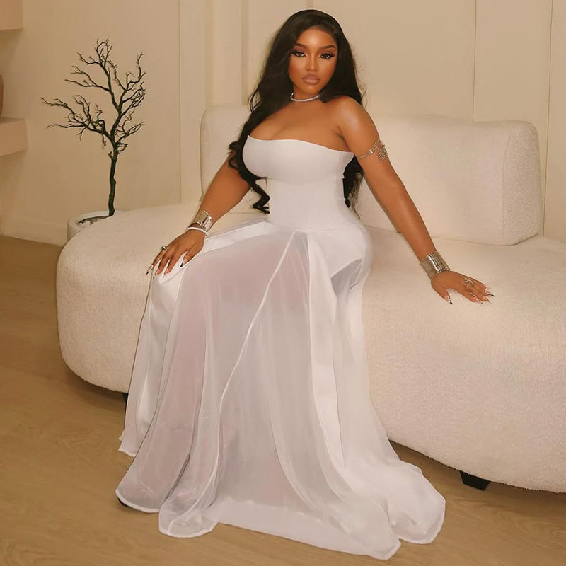 A Line Strapless Dress Sheer Design Waist Defining Slim Fit Casual or Party Wear Wholesale Available