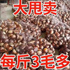 Fresh Chestnuts 2.5kg Fresh Farm Freshly Picked Raw Chestnuts Hairy Chestnuts Oil Chestnuts Non Qianxi Chestnuts