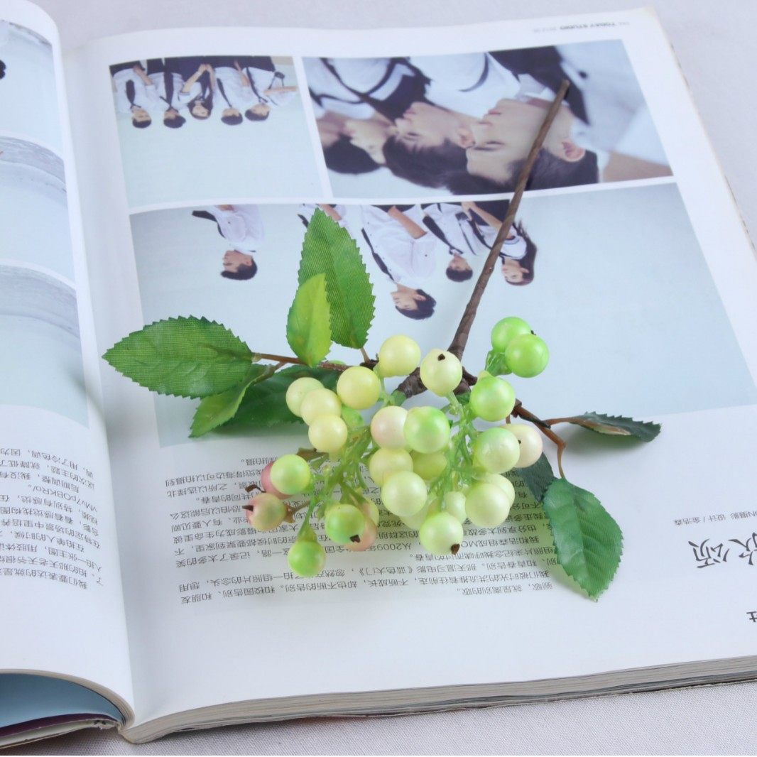 仿真蓝莓果 单支澳洲浆果4色家具装饰果浆 餐桌果盘装饰假花果子