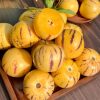 Yunnan Shilin Ginseng Fruit Round Fruit Naturally Mature Seasonal Fresh Ginseng Fruit Colorful Yellow Flesh Round Fruit Free Shipping