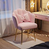 Dining Chair Simple Internet Celebrity Petal Makeup Chair Girls Bedroom Dressing Stool Simple Modern Backrest Manicure Chair Wholesale