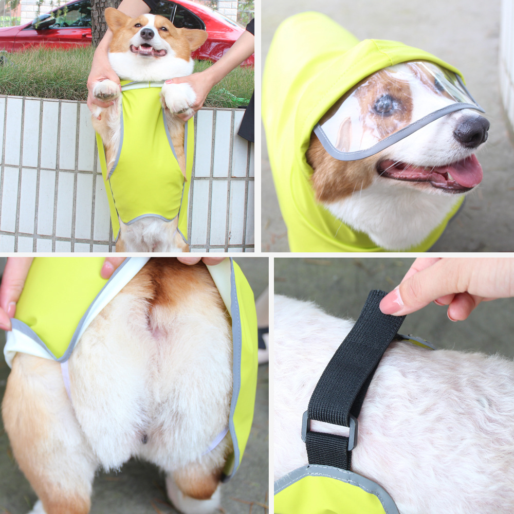 宠它亚马逊反光宠物雨衣全包柯基泰迪狗狗斗篷雨披大型犬衣服护肚 - 图1