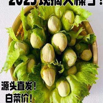 2025 Fresh Wild Hazelnuts with Green Skin, Raw Kernels, Green-Skinned Nuts, Northeast Specialty, Free Shipping by Sf Express