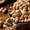 Wholesale Roasted Peanuts in Shells, Original Flavor, Popular Snacks for the New Year, Firewood Roasted Peanuts