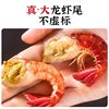 Large Lobster Frozen Fresh Crayfish Without Ice Coat Lobster Special Shrimp Balls Fresh Frozen Wholesale Fresh Box a