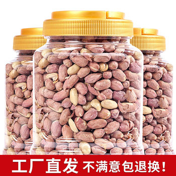 Spiced Garlic Roasted Peanut Peanut Fried Casual Peanut Crispy Delicious Spiced Nutritious Garlic Fragrance