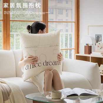 Cream Style Pillow Sofa Living Room Accessible Luxury Classy Large Cushion Office Backrest Lumbar Chair Classy Cushion Cover