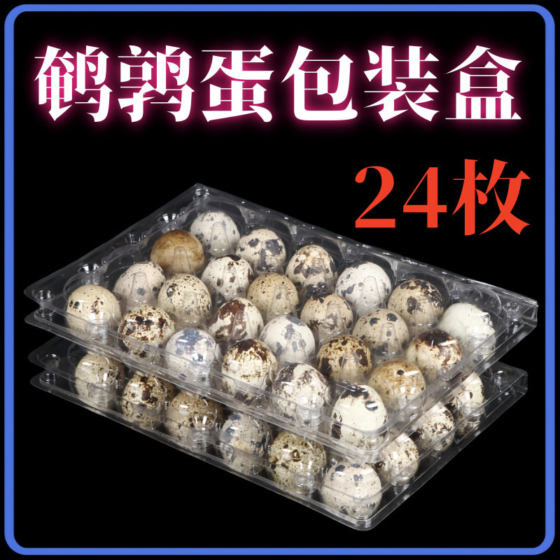 Disposable Plastic Box Blister Quail Egg Packaging Box Transparent Pet Plastic 24 Pieces Quail Egg Tray Quail Egg Box