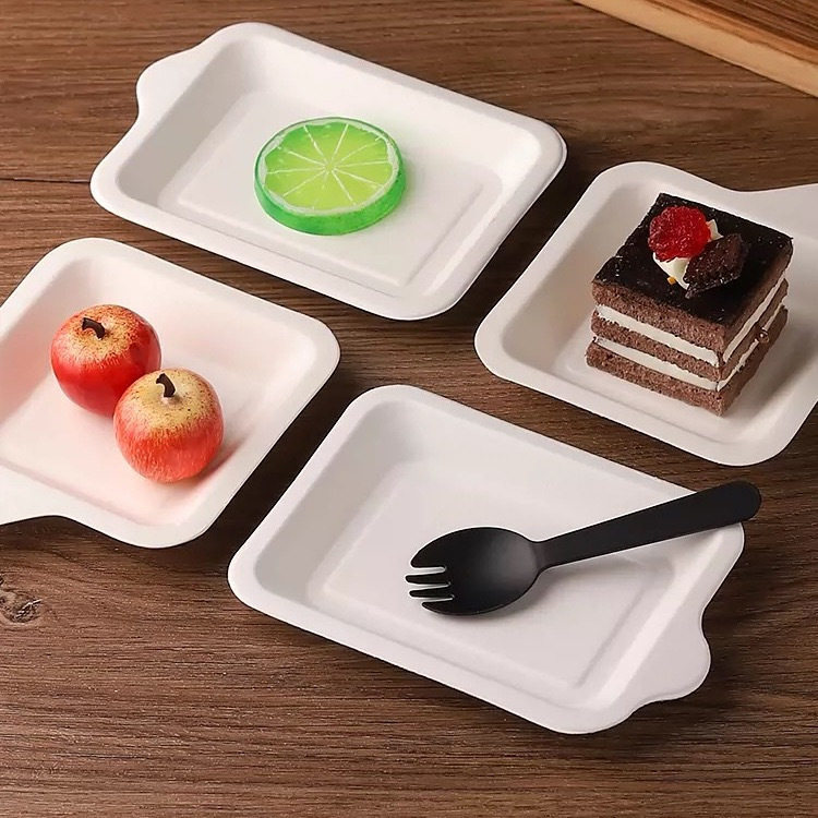 Disposable Paper Plate Cake Paper Plate Disposable Birthday Cake Plate White Card Birthday Cake Plate Disposable Plate