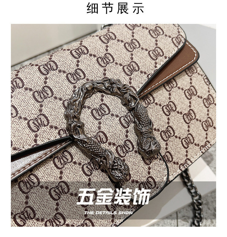 New Cross-Border Dionysus Bag Fashion Trend Retro Printed Chain Bag Popular Armpit Bag Cross-Body Shoulder Bag Women's Bag 3 O1CN013y637A1IhF4Rkz0EK !!2221129960924 0 cib