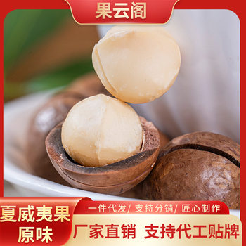 Original Nut Whole Piece Wholesale Classic Open Macadamia Nut Manufacturer Straight Hair Popular Snacks Macadamia Nuts in Stock