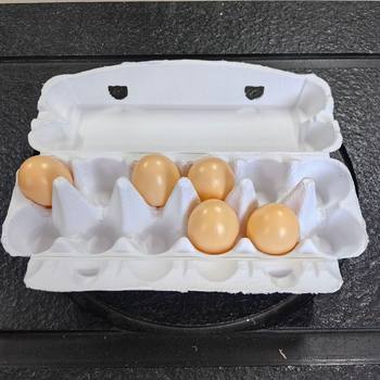 White egg box 12 pieces of pulp egg box Disposable egg box pulp egg tray pulp egg tray