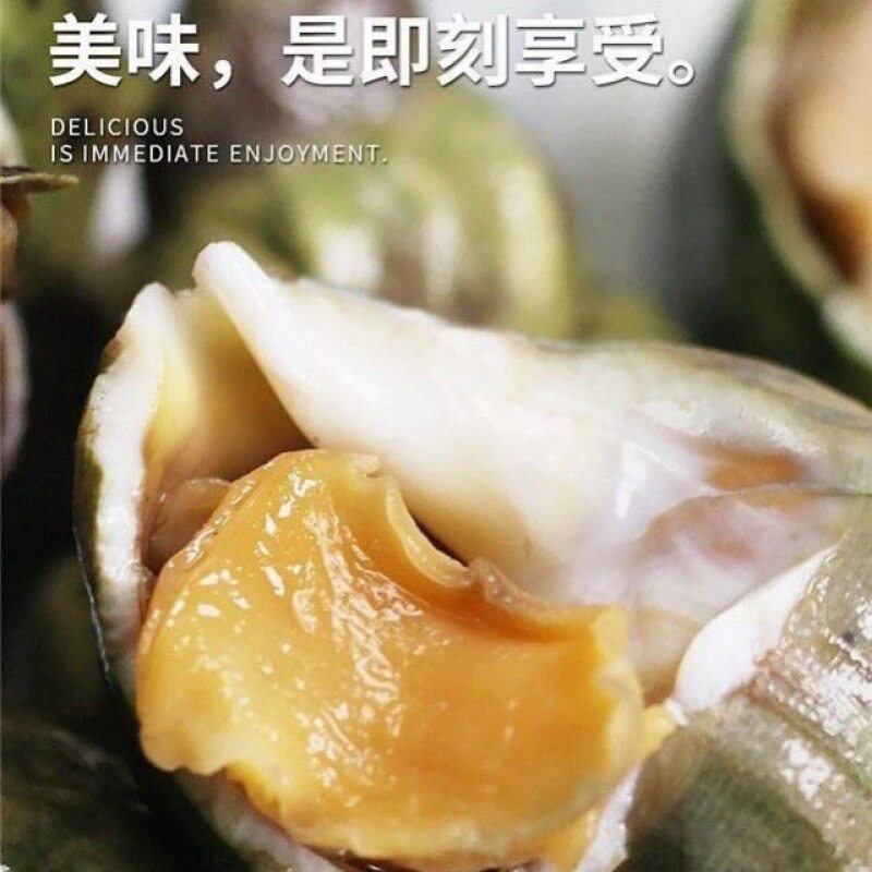 Cooked Frozen Jade Snail Frozen Conch Seafood Aquatic Products Wholesale Japanese and Korean Cuisine