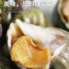 Cooked Frozen Jade Snail Frozen Conch Seafood Aquatic Products Wholesale Japanese and Korean Cuisine
