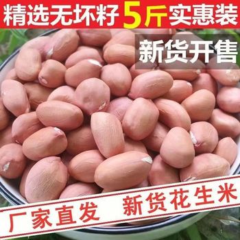 [New Price of Raw Peanuts] 23 Years of Farm-Grown Raw Peanuts, Fresh Shelled White Sand Peanuts Wholesale