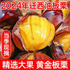 Authentic Wild Hebei Qianxi Oil Chestnuts 5/ 15.5kg Fresh Chestnuts Ready-To-Eat Raw Chestnuts Wholesale Price Non-Cone Chestnuts