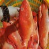 Fresh Frozen Red Snapper from Dongshan Island, Fujian, Direct Source Seafood