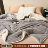 Autumn and Winter Double-Layer Thickeneded Lamb Velvet Blanket Pure Color Composite Milk Velvet Blanket Flannel Single and Double Nap Blanket