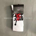 Big logo white