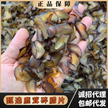 Pilose Antler Chopped Wax Pieces Whole Wax Pieces Half Wax Pieces Pilose Antler Wine Material Chinese Herbal Medicine Yidalu Tonic Wholesale