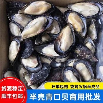 Frozen Half-Shells of Mussels, Black Mussels, Clams, and Other Shellfish Wholesale for Barbecue Ingredients