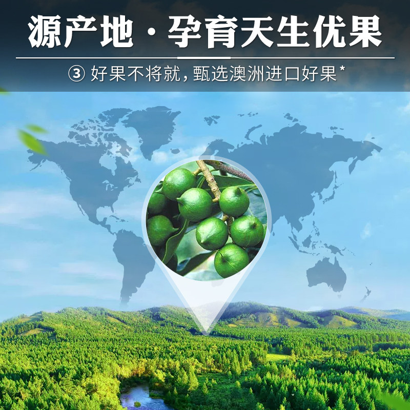 Macadamia Nut Cream Flavored Dried Fruit Roasted Seeds Bagged Internet-Famous Snacks New Year Leisure Office Snacks Wholesale in Stock