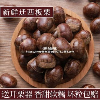2024 New Goods Picked Qianxi Chestnut Fresh Hebei 3113 Mao Chestnut Yanshan Wild Big Oil Chestnut Millet